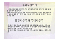 [국제기구] 아세안의 발전과정과 향후 전망-19