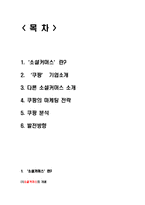 [경영학] 소셜커머스 쿠팡의 마케팅 전략-1
