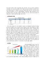 [국제경영] 현대자동차의 인도시장 진출-9