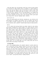 [국제경영] 현대자동차의 인도시장 진출-12