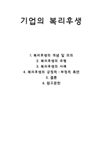 [경영학] 기업의 복리후생 유형 및 사례-1