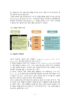 [인사관리] 보상관리 기업사례 조사-7