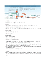 [경영학] 포스코 기술 혁신과 지속가능 경영 연구-4