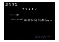 [조직론] 조직역할에 대하여-12
