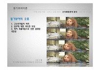 [조직론] 그리스 금융위기에 대한 조직행동론적 분석-8