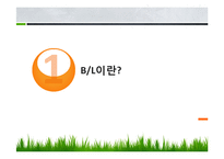 [무역학] BL(선하증권)-3