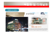 [국제경영] 롯데쇼핑의 해외진출 마케팅전략-5