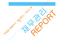 [재무관리] 유럽발 금융위기 및 헤지펀드 국내도입의 시사점 고찰-1