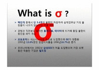 [경영전략] 식스시그마 방법론과 기업사례 연구-2