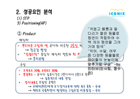 (주)아이코닉스 엔터테인먼트 성공요인 분석-9