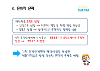 (주)아이코닉스 엔터테인먼트 성공요인 분석-15