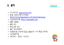 (주)아이코닉스 엔터테인먼트 성공요인 분석-19