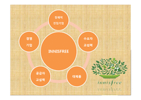 [경영학] 이니스프리의 내외부 환경 분석 및 전략 제안-8