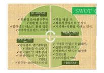 [경영학] 이니스프리의 내외부 환경 분석 및 전략 제안-15