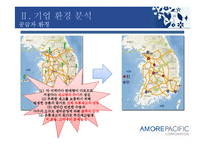 [경영학] 아모레퍼시픽 경영환경 분석-8