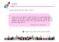 [경영학] 소셜 데이팅 사업 계획-5