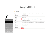 필룩스(Feelux)의 문화 마케팅-8