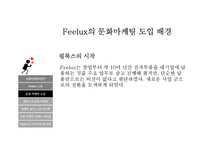 필룩스(Feelux)의 문화 마케팅-10