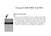 필룩스(Feelux)의 문화 마케팅-11