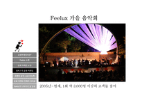 필룩스(Feelux)의 문화 마케팅-13