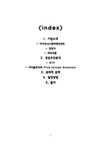 (주)아이코닉스 엔터테인먼트 성공요인 분석-2