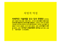 [경영학] 브랜드 리런칭 사례-쉐보레 마케팅 연구-8