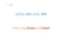 여수엑스포 여행상품 기획-4