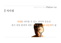 [해외투자론] 브라질 시장 진출 성공 및 실패 기업 사례 조사-9
