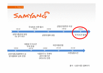 [경영학] 삼양식품 문제점 및 해결방안-4