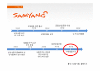 [경영학] 삼양식품 문제점 및 해결방안-7