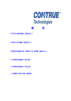[컴트루테크놀로지-신입사원공채합격자기소개서]컴트루테크놀로지자기소개서,컴트루테크놀로지합격자기소개서,자소서,합격자소서,자기소개서,자소서,이력서,입사지원서-2