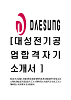 [대성전기공업-신입사원공채합격자기소개서]대성전기공업자기소개서,대성전기공업합격자기소개서,자소서,합격자소서,자기소개서,자소서,이력서,입사지원서-1