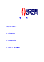 [한국전력공사-대체인력합격자기소개서]한국전력자기소개서,한국전력공사합격자기소개서,한전자소서,한전합격자소서,자기소개서,자소서,이력서,입사지원서-2