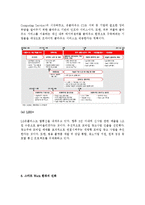 (A+ 레포트) 스마트폰의 출현에 따른 통신사업자의 신사업 전략-5