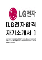 [LG전자-한국마케팅본부인턴합격자기소개서]LG전자자기소개서,합격자기소개서,LG전자자소서,합격자소서,자기소개서,자소서,이력서,입사지원서-1