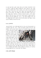 [최신A+자료]늑대소년영화감상문[늑대소년감상문][늑대소년 영화감상문][늑대소년 영화감상][늑대소년]-2