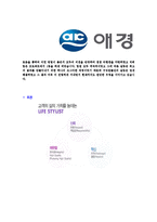 [애경-2013년신입사원공채합격자기소개서]동부자기소개서,애경합격자기소개서,애경자소서,애경산업합격자소서,자기소개서,자소서,입사지원서-6