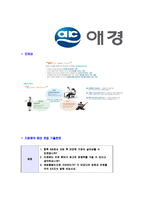 [애경-2013년신입사원공채합격자기소개서]동부자기소개서,애경합격자기소개서,애경자소서,애경산업합격자소서,자기소개서,자소서,입사지원서-7