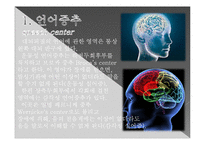 뇌의 언어장애와 실어증-3