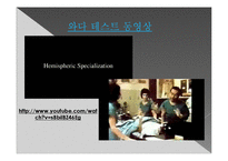 뇌의 언어장애와 실어증-4