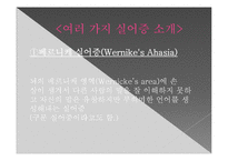 뇌의 언어장애와 실어증-7
