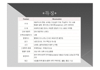 뇌의 언어장애와 실어증-11