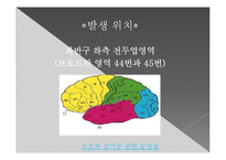 뇌의 언어장애와 실어증-12