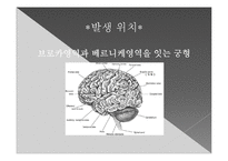 뇌의 언어장애와 실어증-15