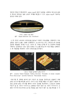 냄비의 기능 향상을 위한 코팅재 선정-4