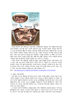 구제역과 쓰레기 침출수 문제-3