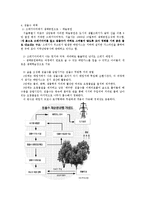 구제역과 쓰레기 침출수 문제-7