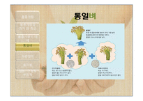 품종개량(Plant Fertilization and Breeding)-11