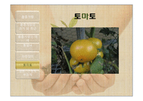 품종개량(Plant Fertilization and Breeding)-17