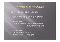 해양오염 사례 고찰-14